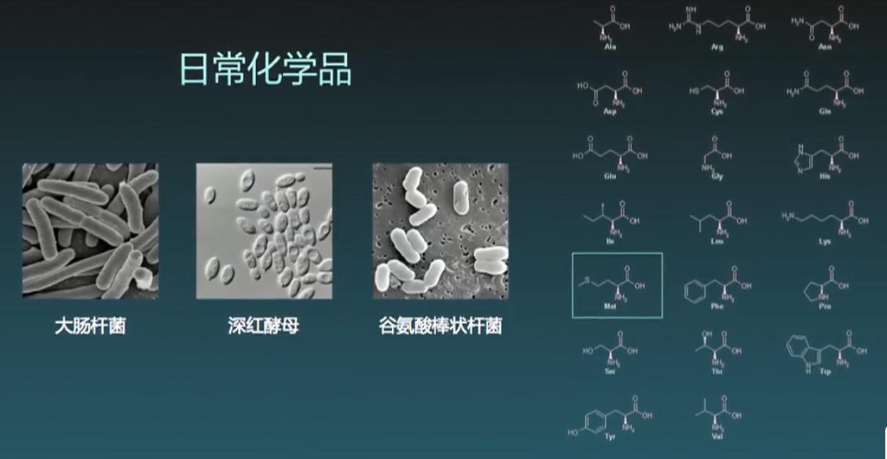 生物可降解塑料前景,生物可降解塑料是什么原料