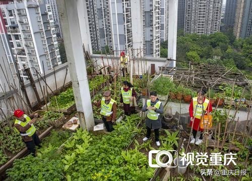没有业委会业主如何投诉物业,没有业委会业主有哪些知情权