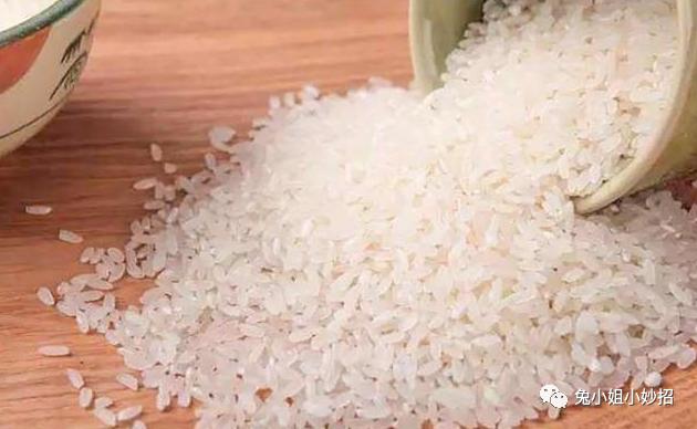 大米生虫有飞蛾怎么办,大米生虫子飞蛾处理小诀窍图片