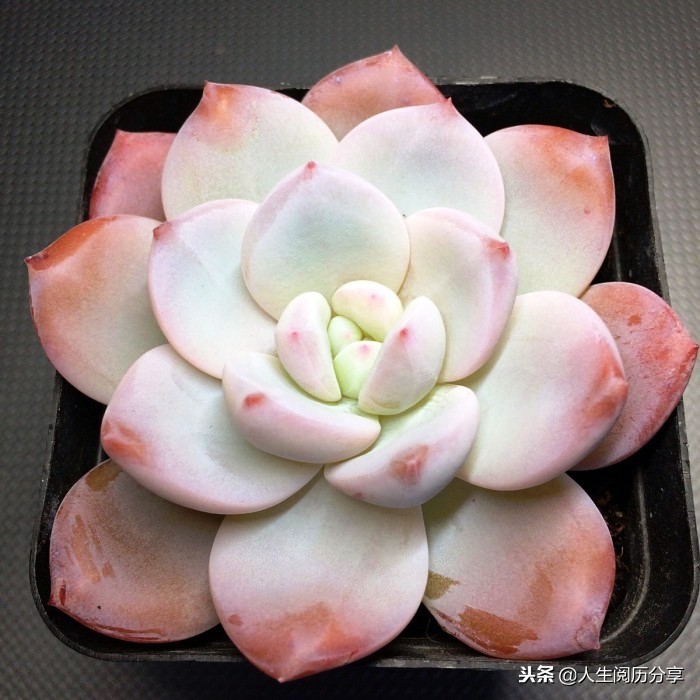 优秀的名言警句大全,特别有深刻意义的名言警句