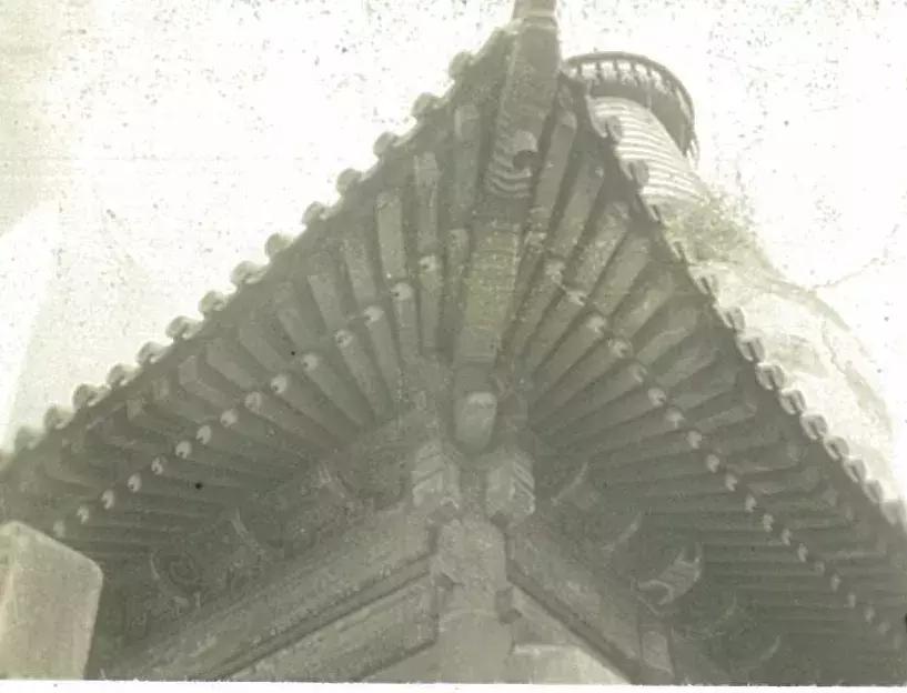 你可能没见过的姓氏,你可能没见过的日语