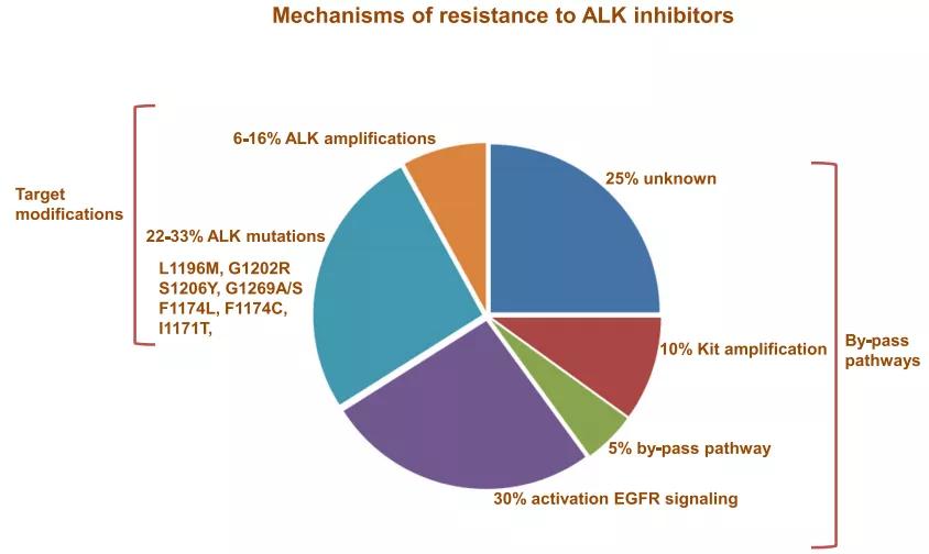 alk抑制剂alk是什么,alk抑制剂一二三代区别