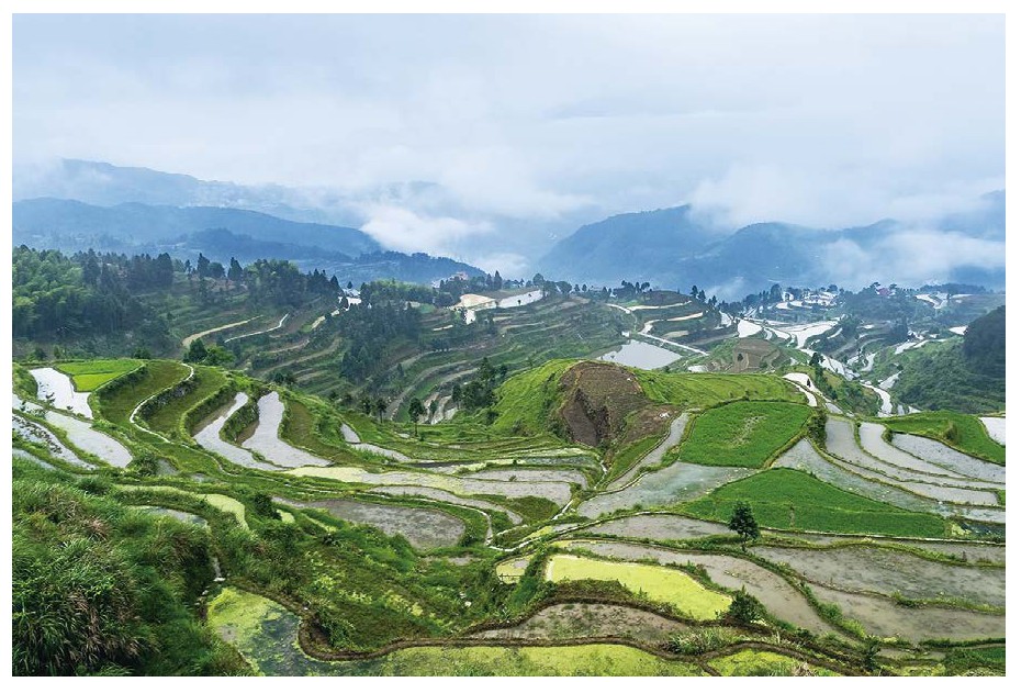 浙江农村产权流转交易,温州市创新农村产权交易模式