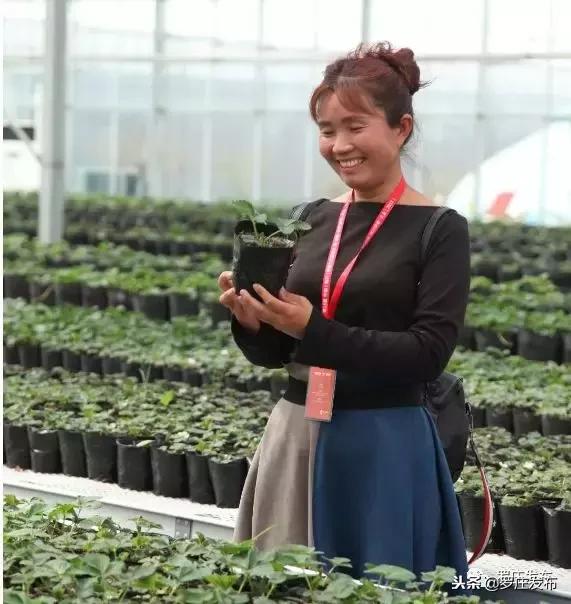 罗庄生活怎么样,罗庄哪几个村最好