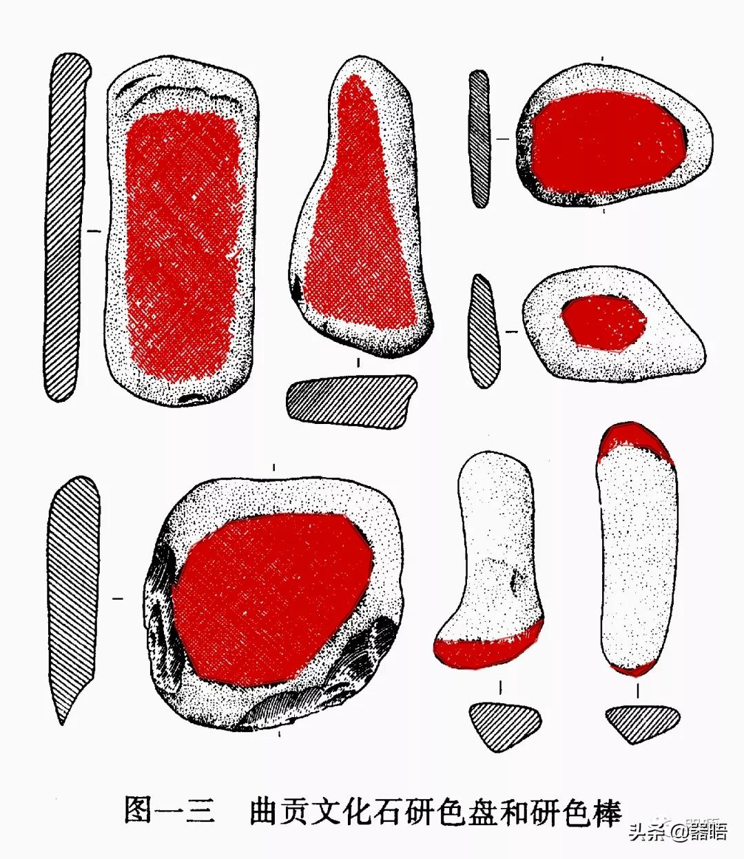 在西藏发现的史前生物,西藏的古人类