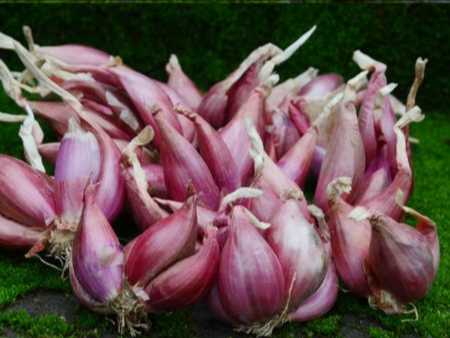 福建千里香馄饨正宗黑葱油做法,正宗千里香馄饨调料黑葱油的做法