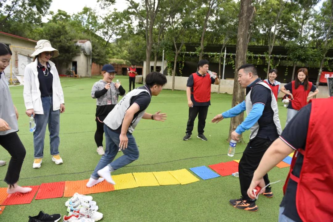 凌阳科技有限公司,凌阳科技单片机