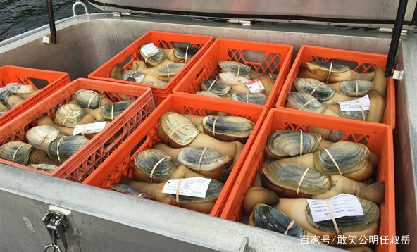 鄂霍次克海是淡水吗,太平洋日本海域