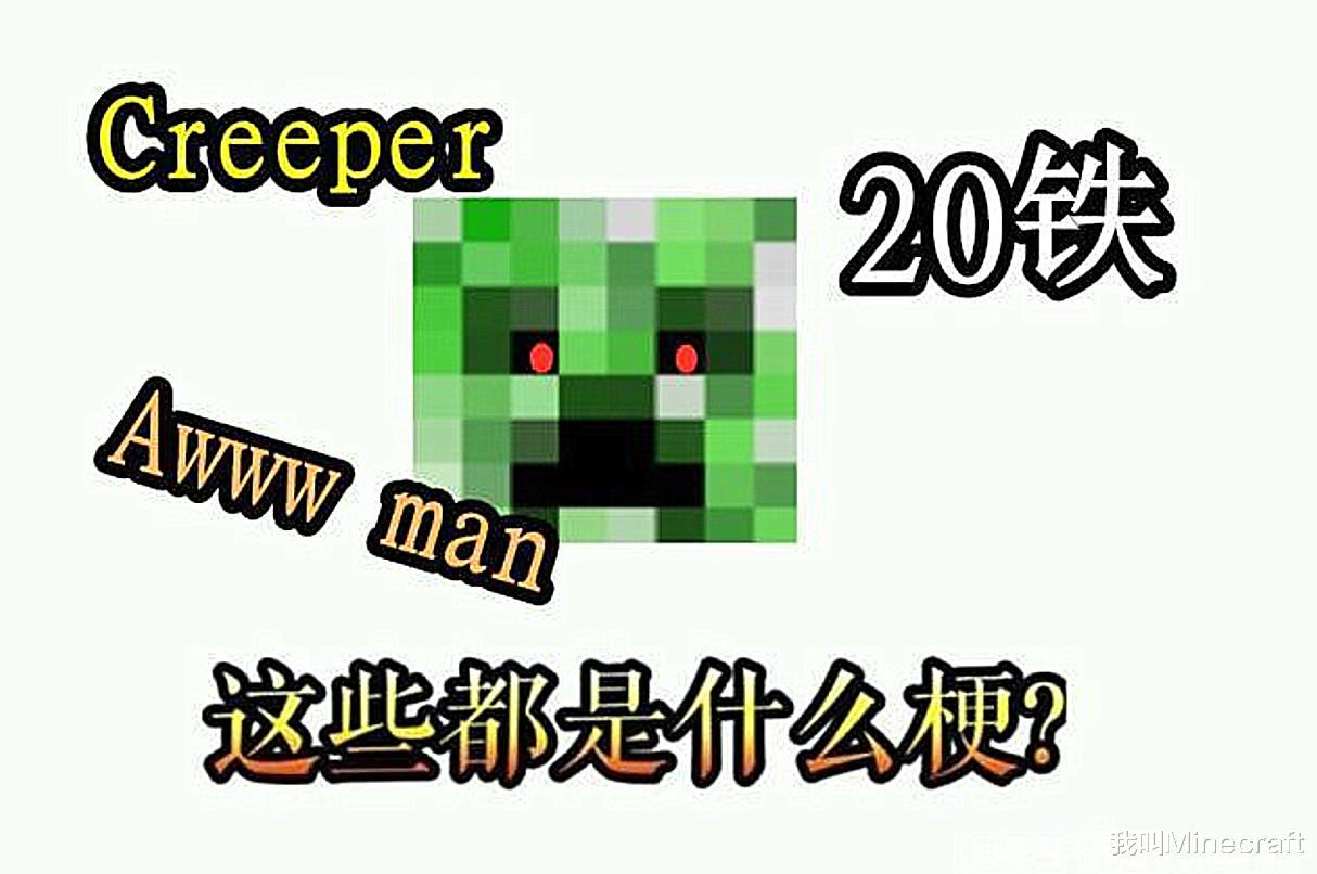 我的世界只有mc玩家才懂的梗系列,我的世界里玩梗