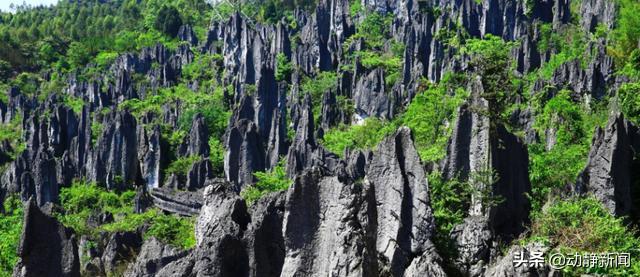 石头侃,云南石林和贵州石林哪个好看