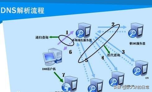 如何查看域名主dns服务器信息,目前dns服务器没有dns域名