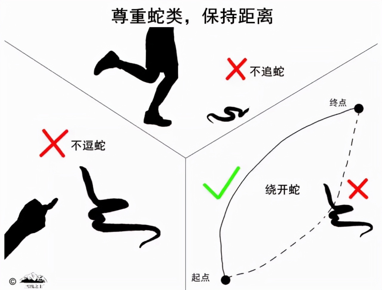 养蛇防逃的措施,山区防潮防蛇最好方法