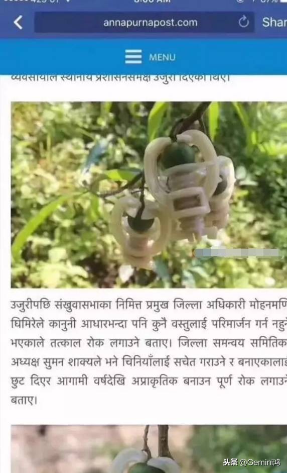 金刚菩提骗局大揭秘,金刚菩提骗局