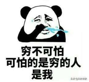 手机老是收到推送消息怎么办,短信提示回复td退订怎么回事