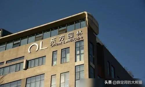 捐十亿的女首善,中国5大富婆