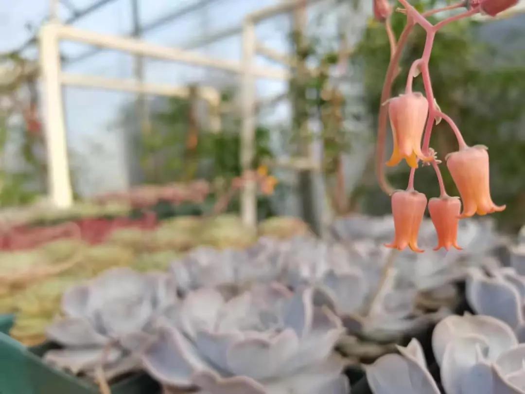 汉川5天周边游攻略,汉川徒步旅游攻略一日游