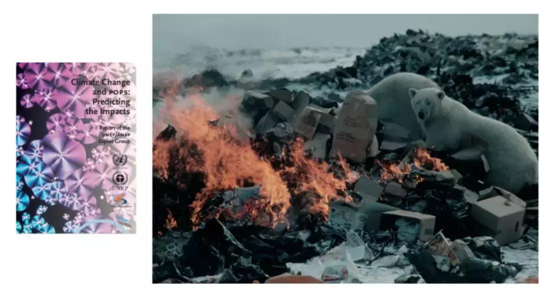 这个沙龙，错过了现场还能错过现场回顾？