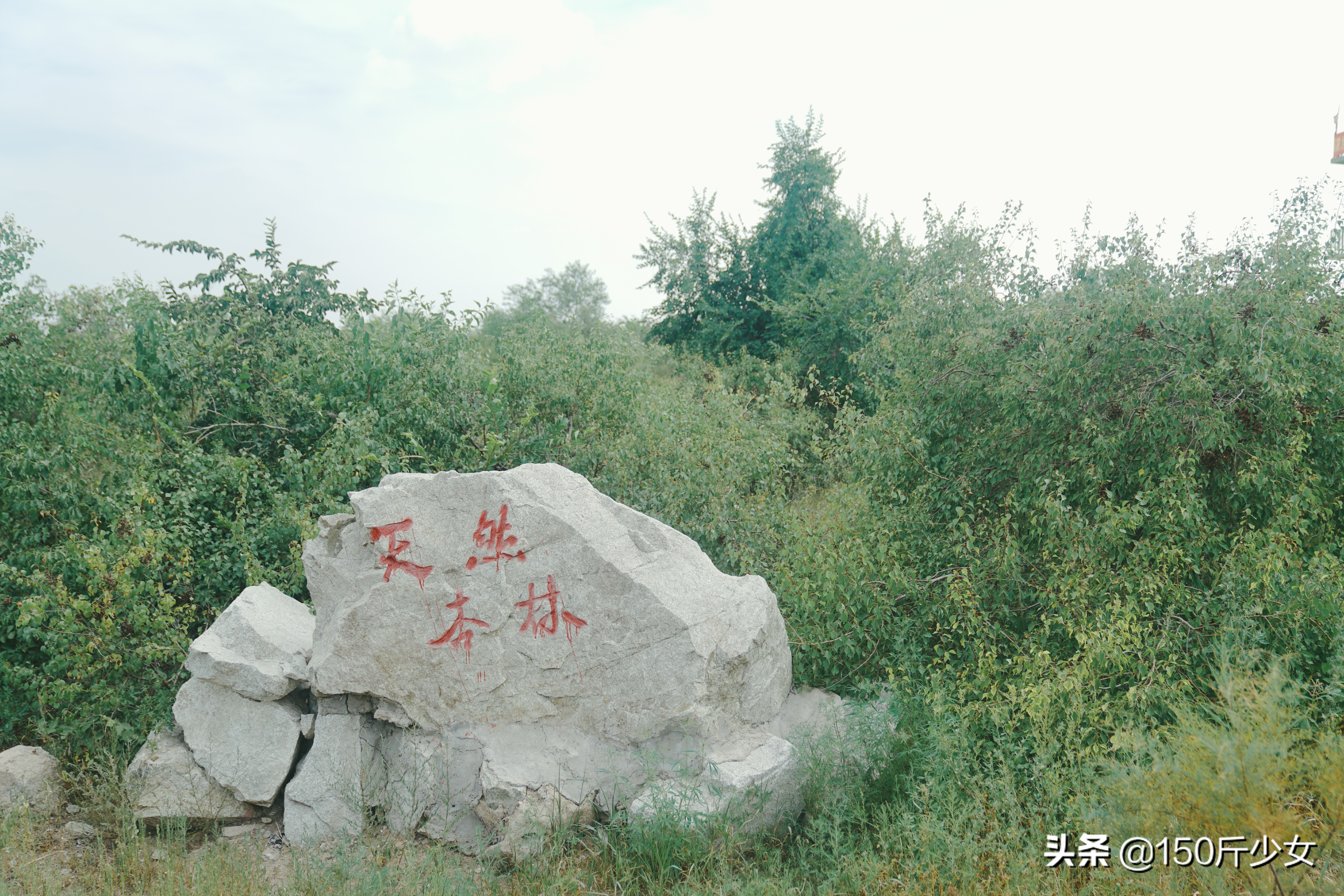 吉林旅游攻略自由行三天两晚住宿,吉林旅游自由行攻略图片大全