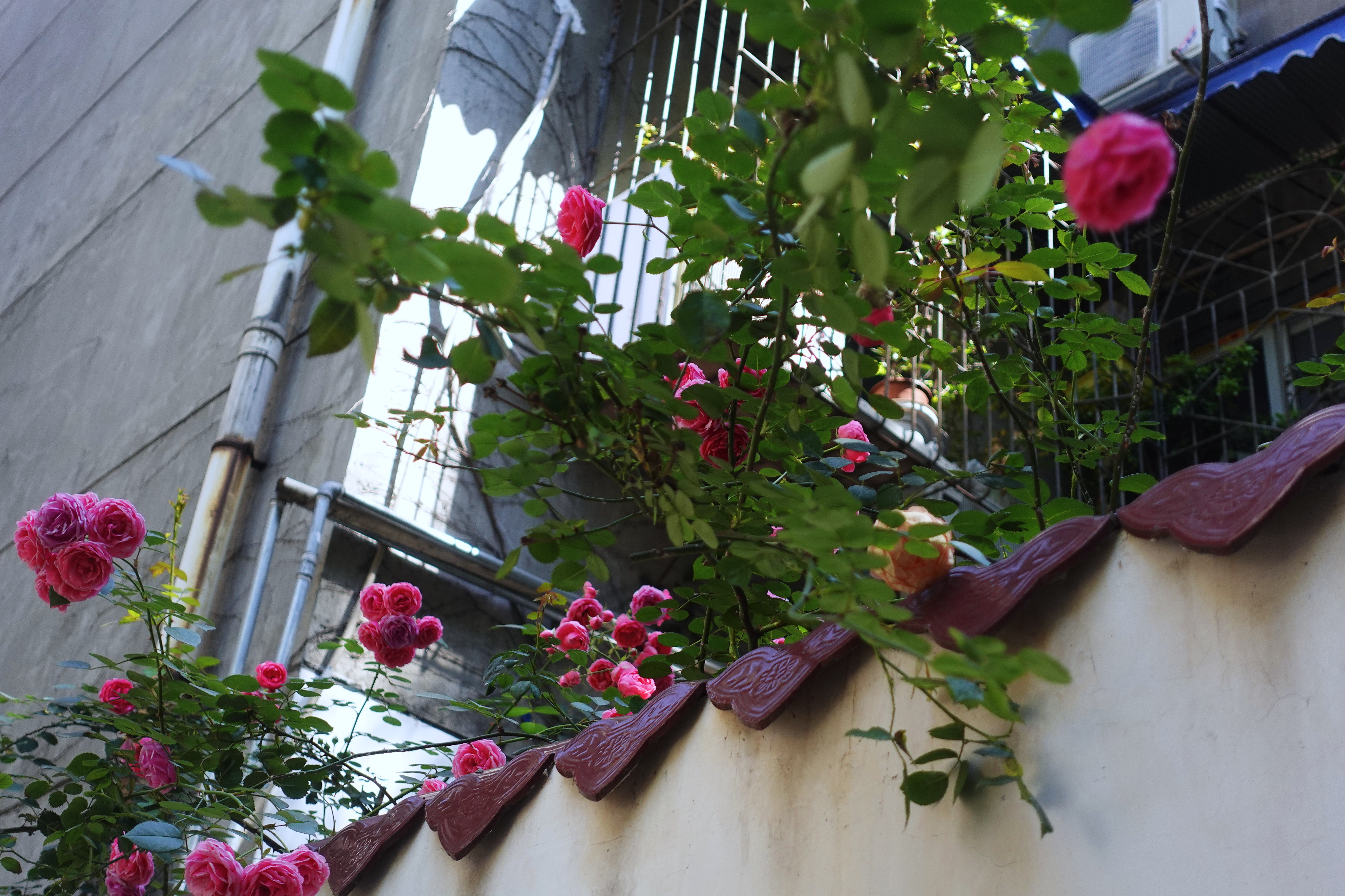 2021幸福感城市成都,2021最具幸福感城市成都