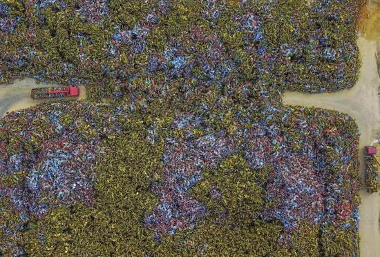 堆积如山的共享单车去哪儿了,珠海蓝色共享单车为什么消失了