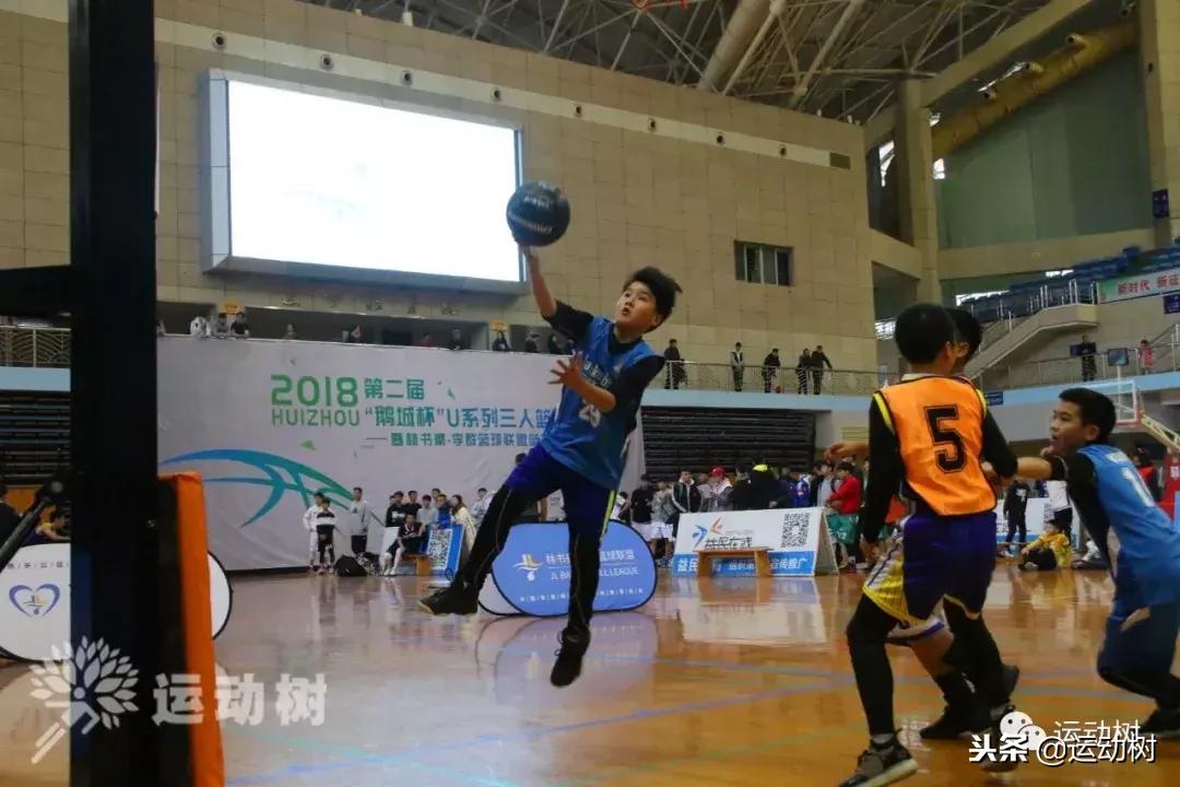 中国篮球名宿走进学校,中国篮球名宿26分