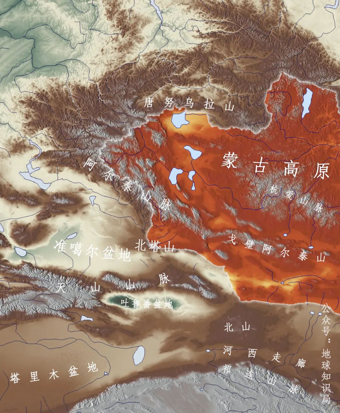 谁在保护金丝猴,谁在保护北极熊