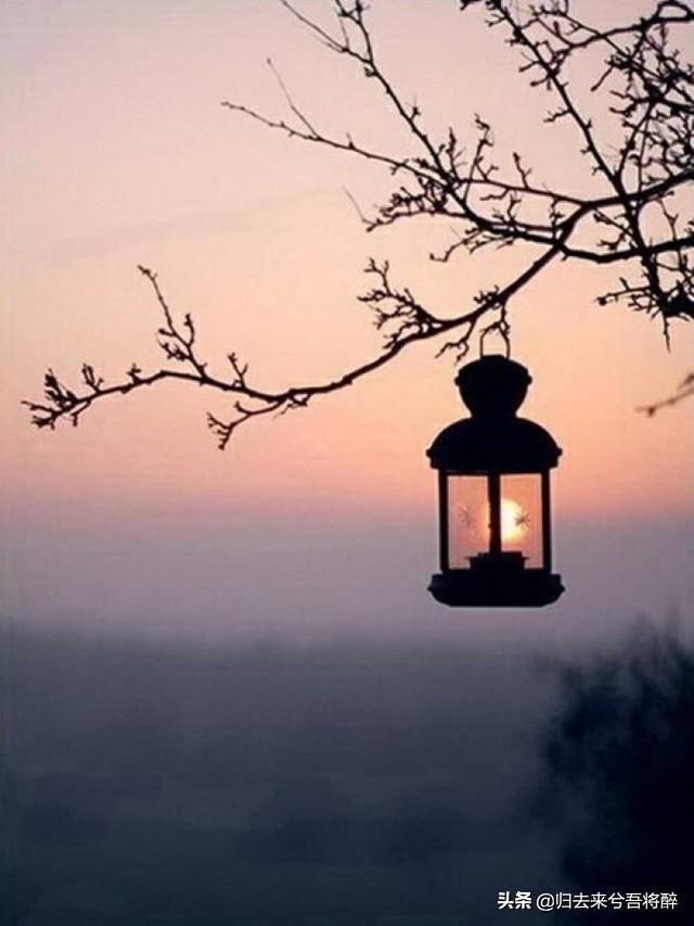 惠水龙塘山,贵州惠水山红花