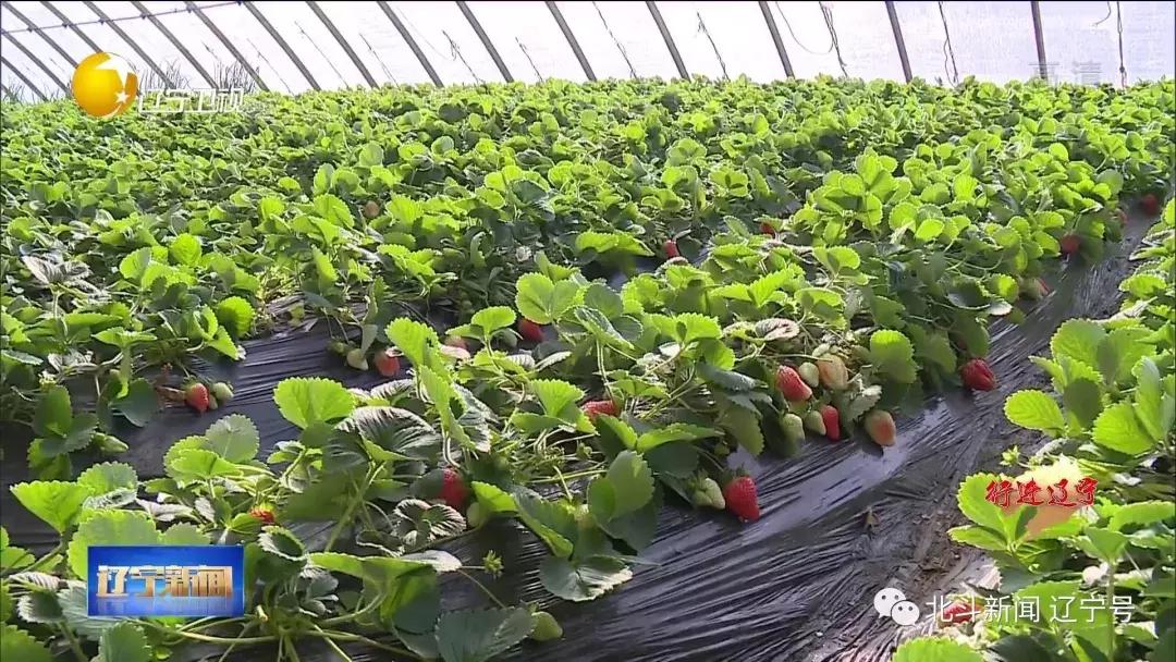 壮丽70年奋斗新时代现场,辽宁省丹东市宣传片大美丹东