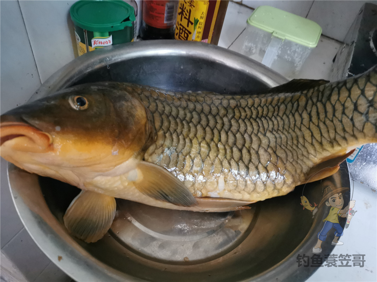 钩距多少为最合适,钩距多少比较合适