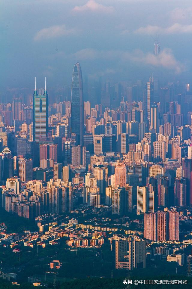 网友如何评价深圳这座城市,怎么夸赞深圳这个城市很美丽