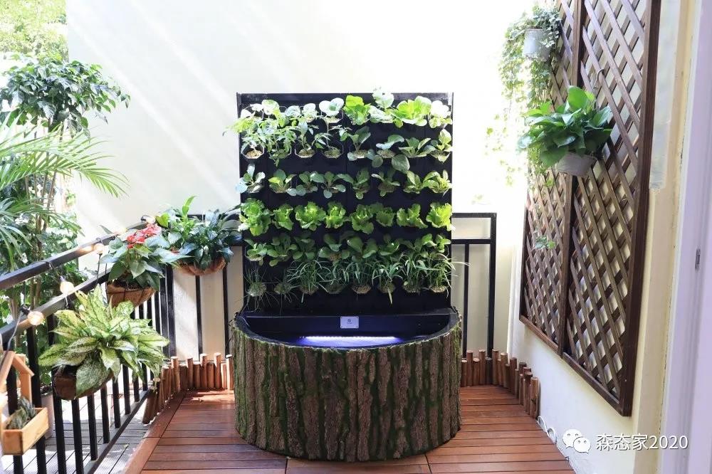 母亲节，敢和你妈这样玩吗？朋友圈豪嗮幸福