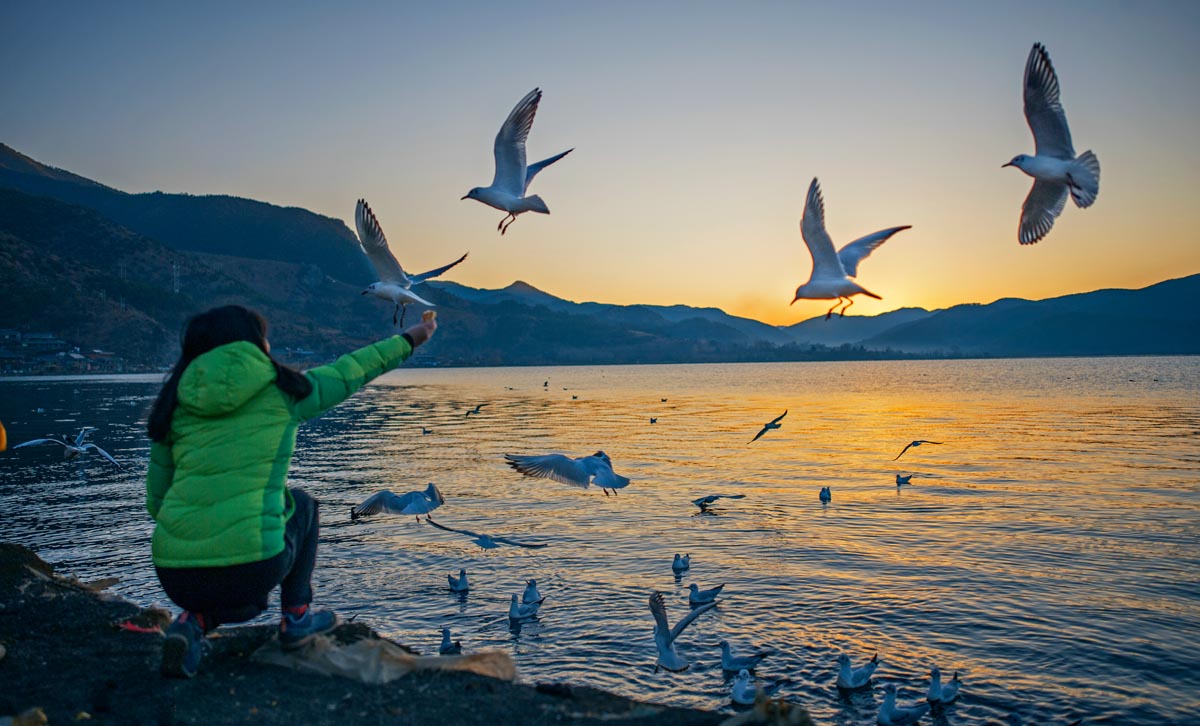 泸沽湖唯美视频,泸沽湖美到窒息