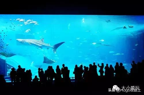 到毛里求斯旅游行程,冲绳到塞班