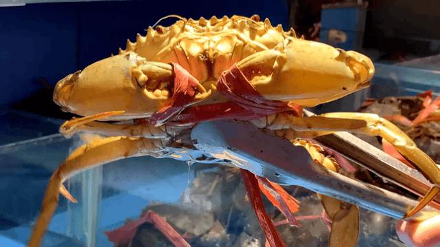 4.9折！曝光魔都20年隐藏美食街，教你白天读懂夜的黑