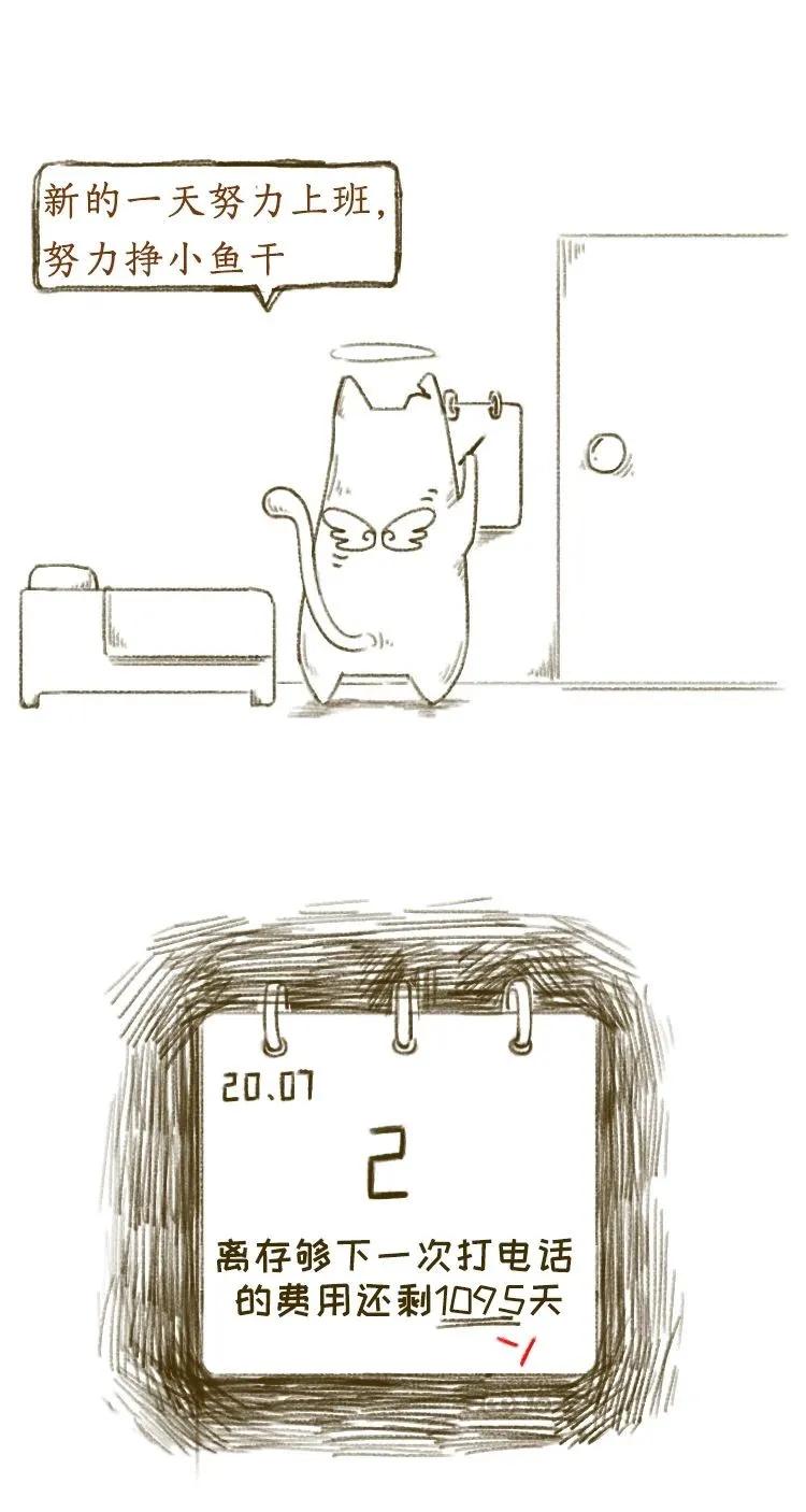 去世三年的猫猫,以前去世的猫咪还会回到你身边吗