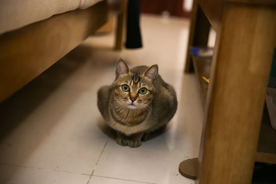 深圳富人日常生活真实记录,在深圳普通人最真实的生活状态