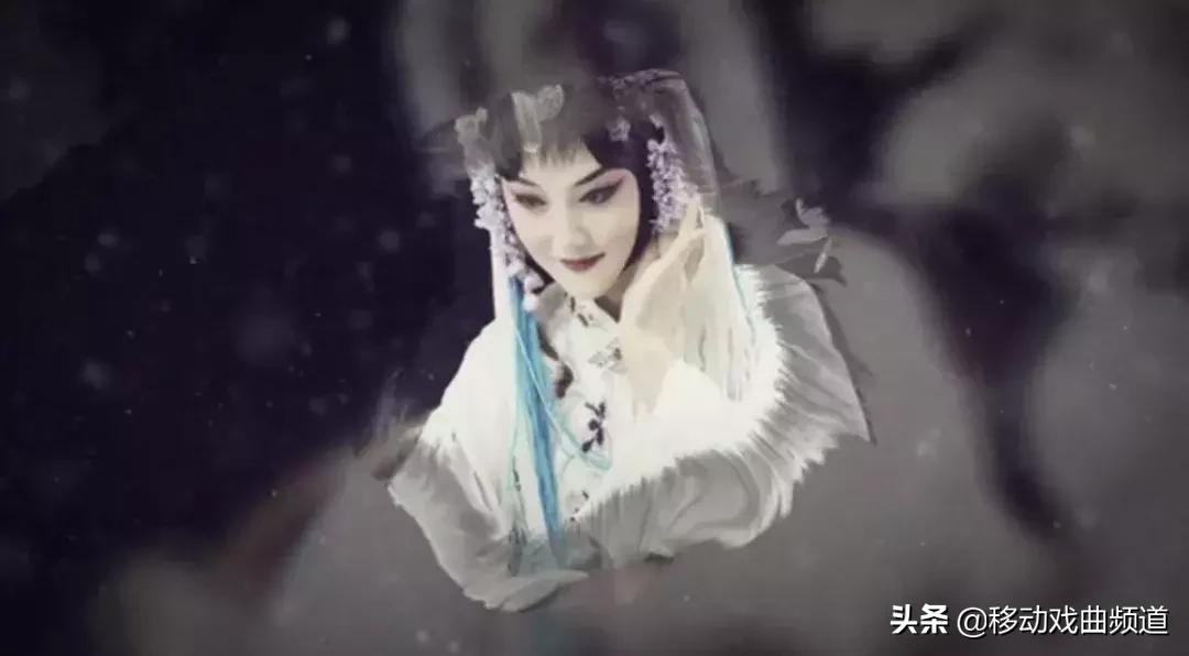 戏曲种类及知识,世人皆知戏曲