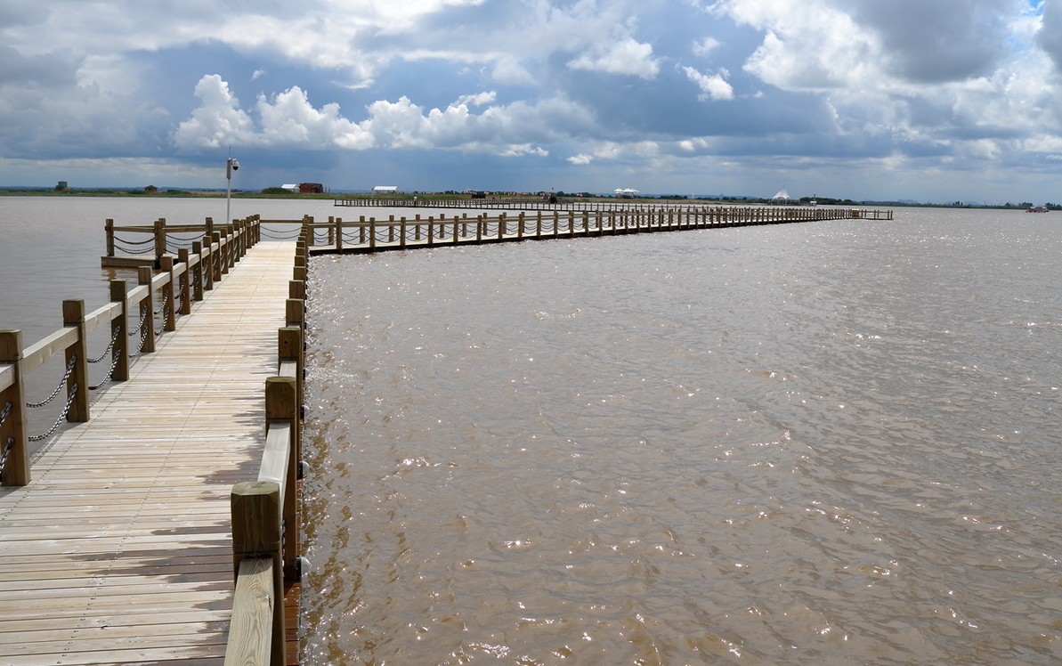 呼兰湿地公园违法占地,哈尔滨呼兰湿地公园