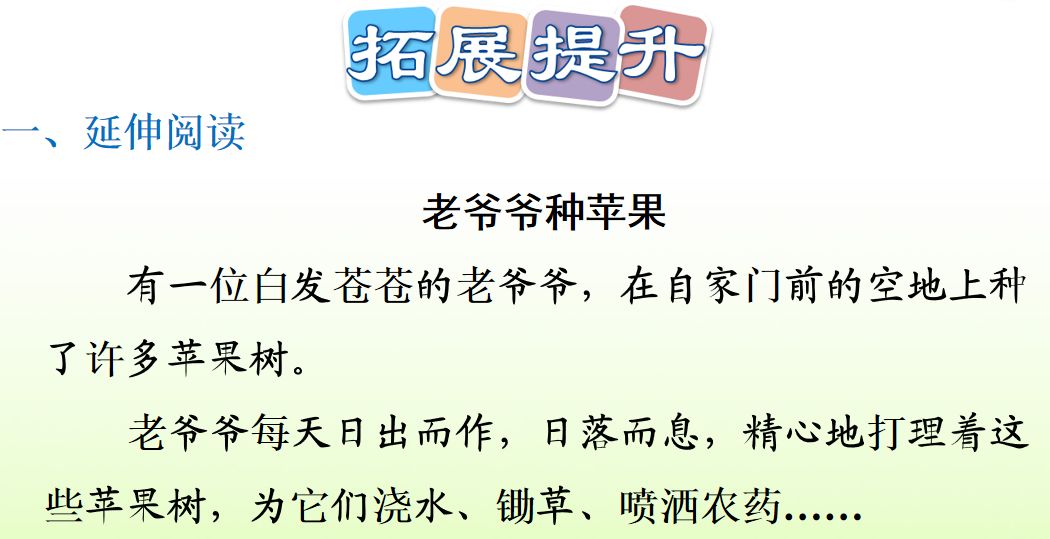 部编版二年级下册语文第4课《*小平邓**爷爷植树》知识点+图文讲解