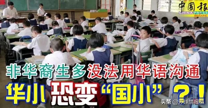 马来西亚国际汉语教育,马来西亚本土教育