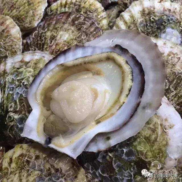 水煮贝壳类海鲜煮多久,海边海鲜用什么水煮好吃