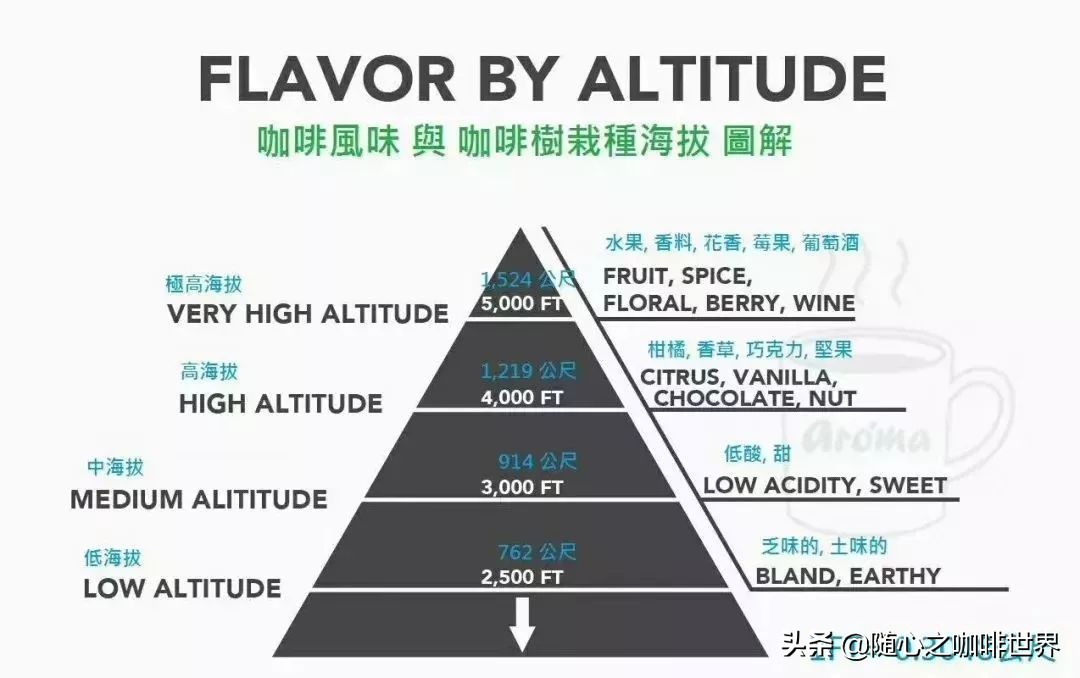 咖啡从采摘到制作过程视频,咖啡采摘加工过程