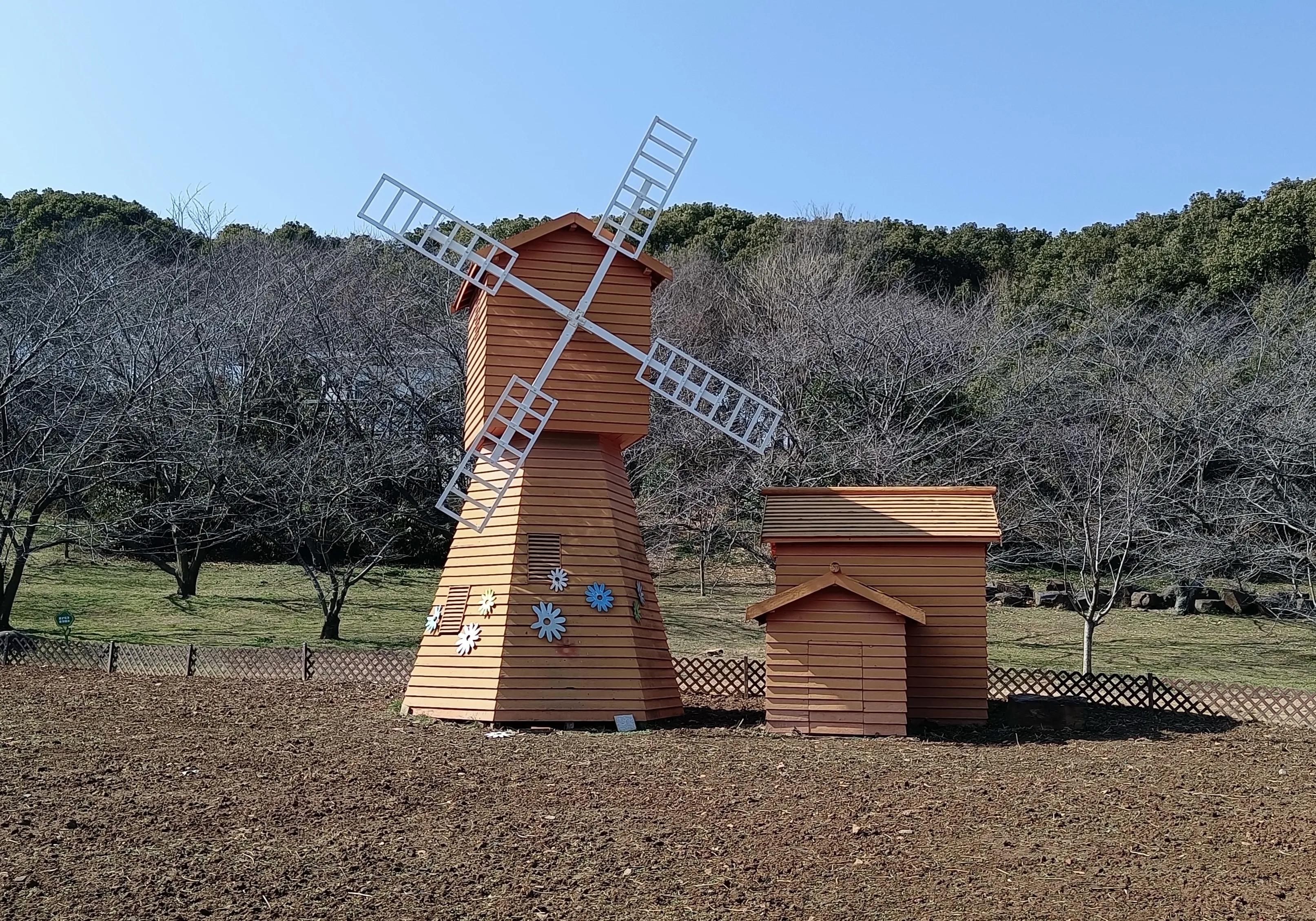 上方山森林公园作文,上方山森林公园动物世界