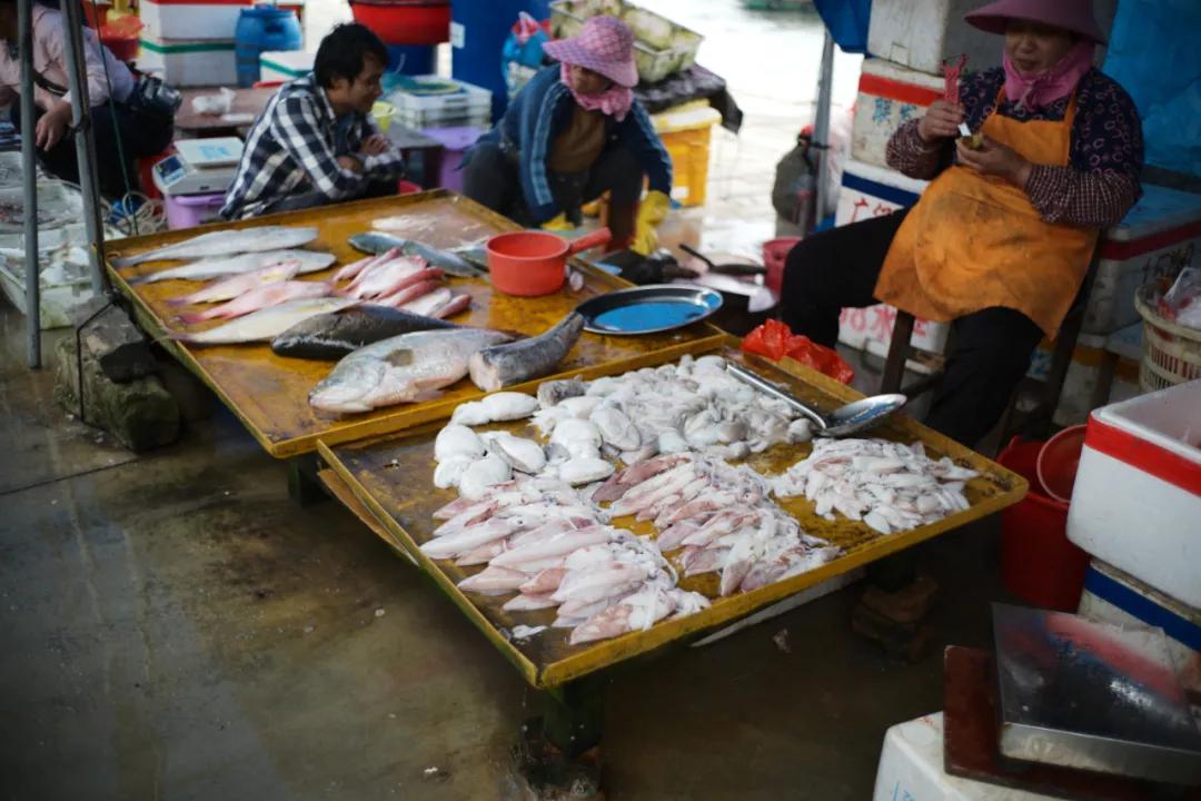 海南最大的渔港码头,在海南岛最霸气的渔港码头