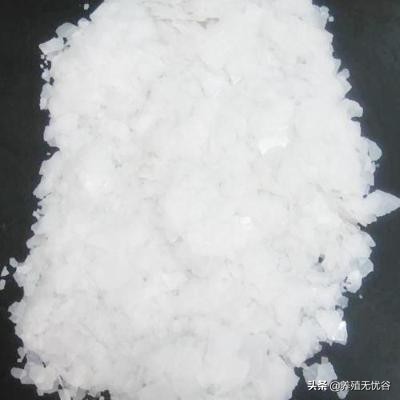 猪舍消毒用火碱比例是多少,火碱消毒方法视频