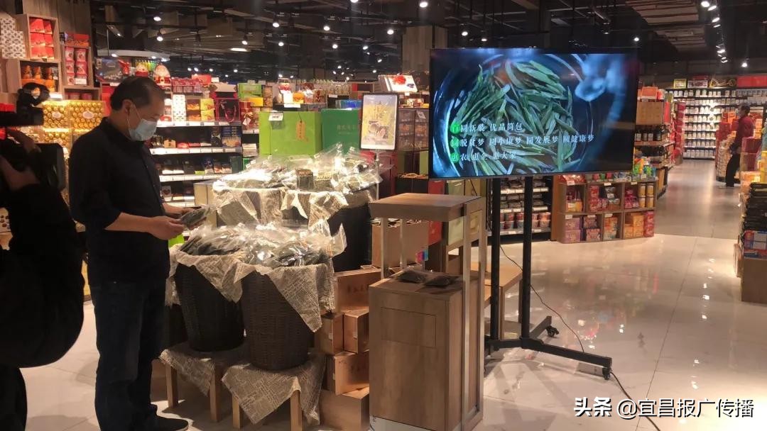 助茶农渡难关，宜昌春茶“百圆惠”上市