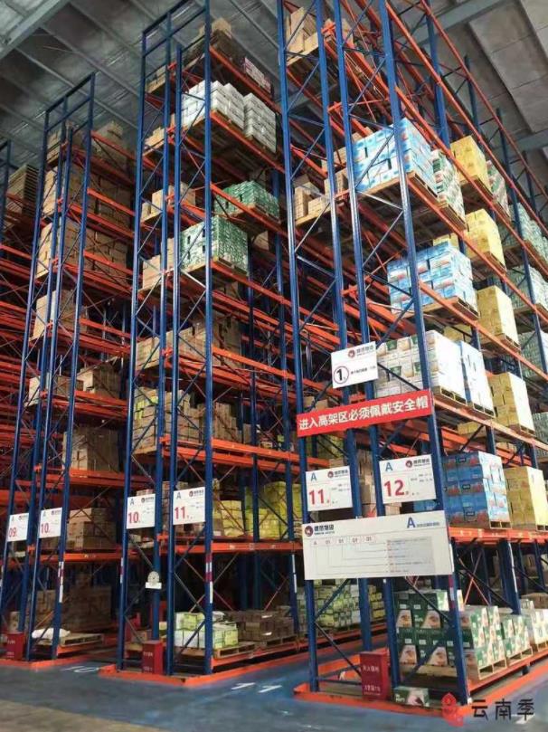 与盛贤物流相约茶山文化行