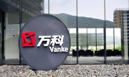 “不要忘记，白银也是贵金属”！大赚的万科，悲凉的刚需