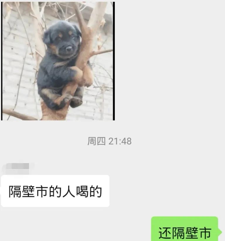 椤惧璁簡寰堝濂惰尪鍙戞湅鍙嬪湀,100鏉ザ鑼剁殑澶栧崠璁㈠崟