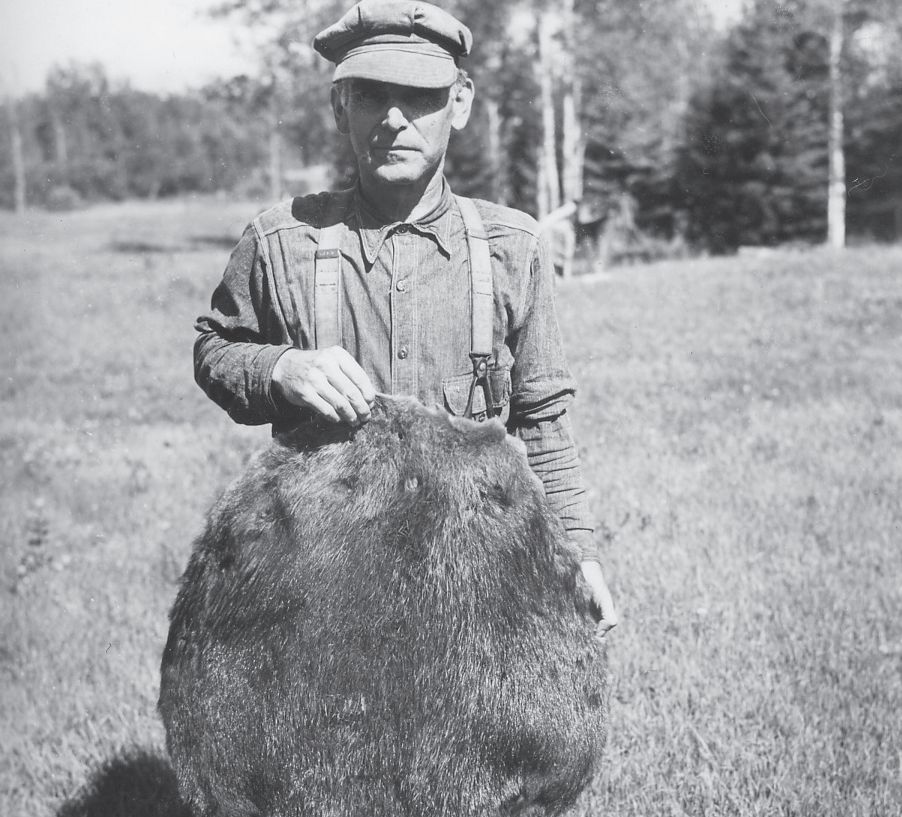 荒野猎人中的印第安人,荒野猎人里面的土著人